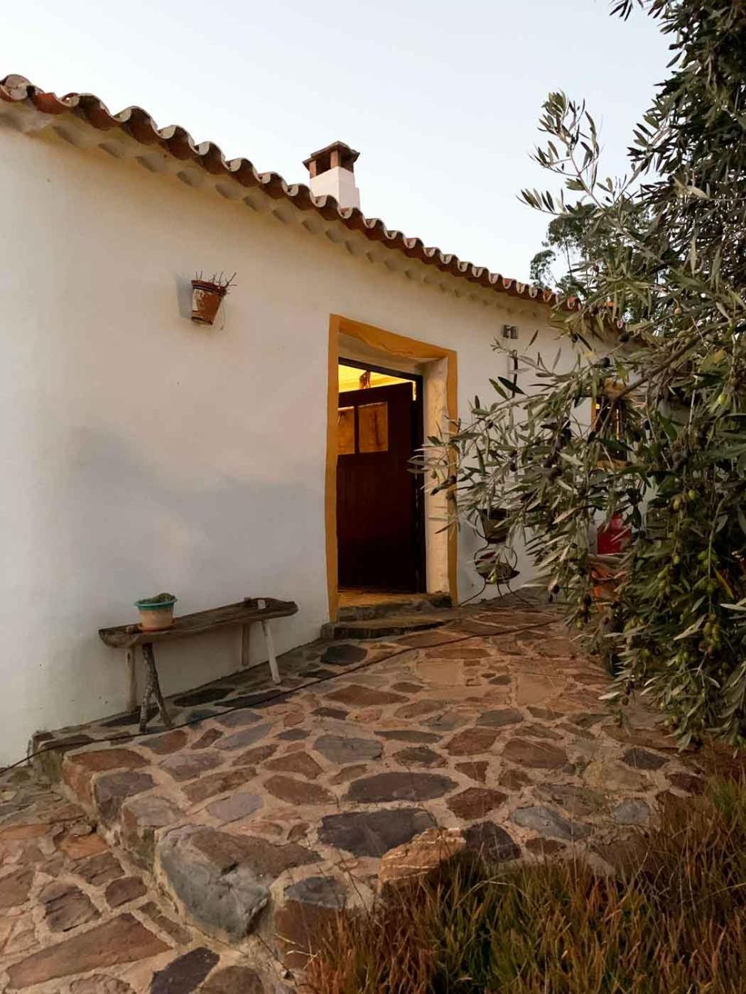 The Stream House - Montes Da Ronha Villa Zambujeira do Mar Bagian luar foto